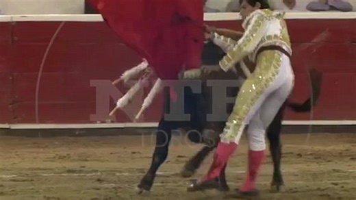 Bullfighter gored in the testicles