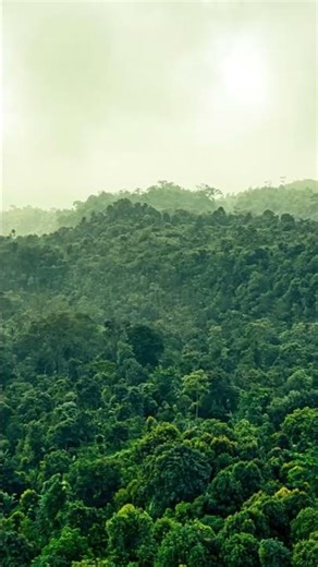 Mind reset video #asmr #rainsounds #relaxing #study