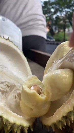 Durian 15ribuan di Makassar #durian #shortsindonesia