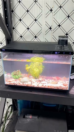 尼特利（NETLEA）新款智能鱼缸APP远程智控自动喂食一体自循环生态鱼缸桌面鱼缸 X-45 Ultra