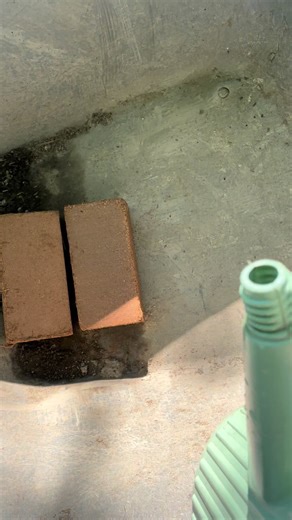 How to Use Coco Coir for Affordable Potting Mix