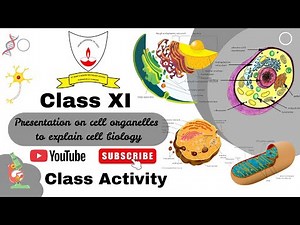 Class XI Biology Activity | Cell Organelles Explained | Student Presentation on Cell Biology