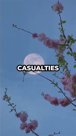 Exploding Rats: WWII’s Craziest Secret Weapon Revealed! 💥🐀