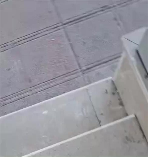 ‎شبکه جهانی کلمه‎ on Instagram‎: "🔴 مرودشت؛ فرار کردن نیروهای سرکوبگر از دست مردم غیور ۱۱ دی‌ماه ۱۴۰۴ ➖ 🌐 Web | Telegram | Instagram | Youtube | Twitter | Facebook ➖ #شبکه_کلمه #خبر #خبر_روز #رخداد_روز"‎