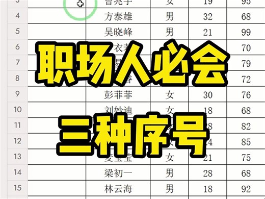 职场人必会的三种序号 学会用Row函数和Subtotal函数来设置序号，成功打败80%的职场人。