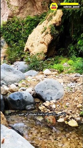 جلسة شاي ساحرة في وادي عربه بين جبال وقصديرة نار #travel #nature