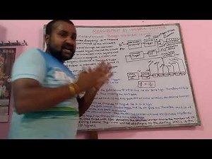 Frequency measurement through universal counter