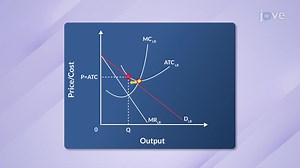 Video: Long-run Equilibrium under Monopolistic Competition