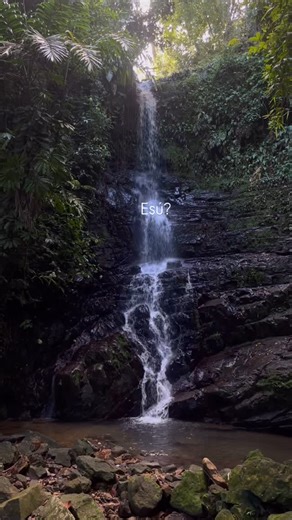 Gabriella Fernandes • Nômade • Vida na estrada ꩜ on Instagram: "💛"