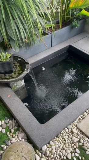Zen Bio Mini Koi Pond Konzept Garden | Fish Pond Malaysia