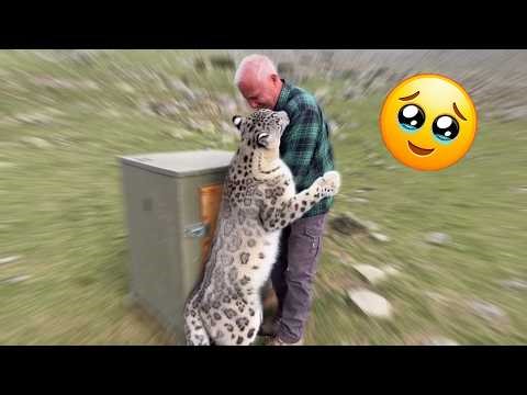 Animals Never Forget Love… These Moments Prove It.