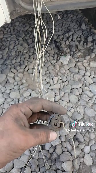 Videos de chelo (@chelo_electrico) con “sonido original - chelo”