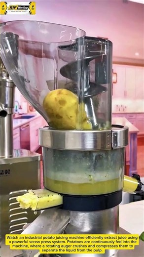 Inside an Industrial Potato Juicer | High-Efficiency Juice Extraction Machine