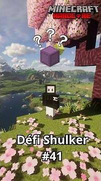 Remplir une SHULKER de soufre concentré ?! 🤯|Défi Shulker #minecraft