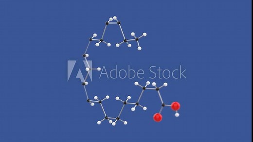 Alpha-linolenic acid, Omega 3 ALA 3D molecule structure loop animation, spinning on blue background, 4k infinite looping render