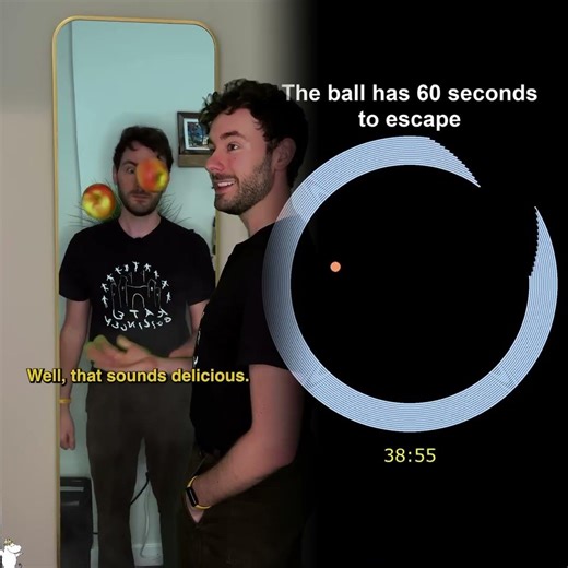 i bought a mirror that reflects into an alternate universe #loop