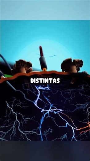 CAN FUNGI BE COMPUTERS? 🍄😳