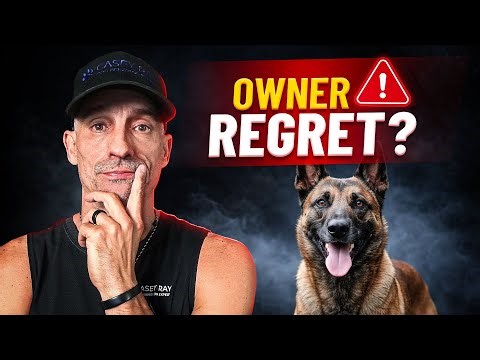 Top 5 Dog Breeds Owners Regret Getting