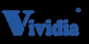 Dual-Camera Borescopes