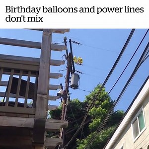 1M views · 10K reactions | Wait for it...  Credit: ViralHog | VT | Facebook