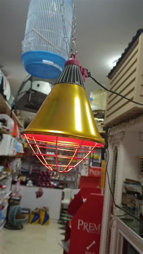 اللامضة الحرارية للحيوانات الأليفة من زو