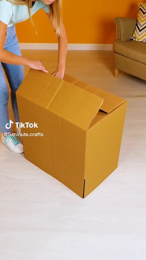 Creative Cardboard Box Interactions in a Cozy Room