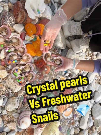 Crystal Pearls vs Freshwater Snails: A Comparative Analysis
