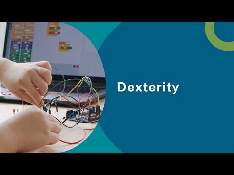 Fine motor skills (6/7): Dexterity