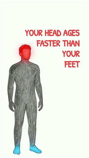 Your Head Ages Faster Than Your Feet and NIST PROVED It
