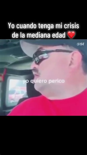 Understanding the Phrase 'It Is What It Is' in Memes