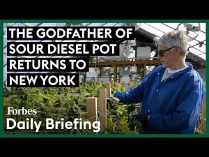 The Godfather Of Sour Diesel Pot Returns To New York