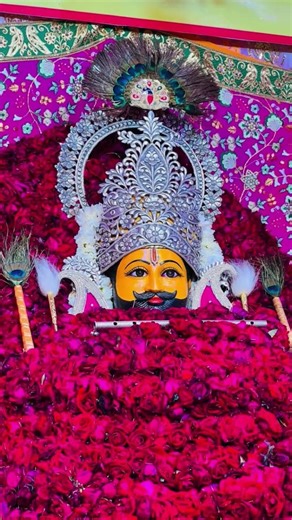 हारे का सहारा बाबा श्याम हमारा🌹👏🏻#shreekhatushyam #viralvideo #shortvideo