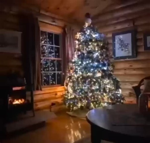 🎄Weihnachts-Shopping Tag 21🎄 MicroQuick Unser MicroQuick kombiniert traditionelle Schnellkochmethoden mit der Effizienz und dem Komfort des modernen Mikrowellenkochens. Dieser Schnellkochtopf wurde entwickelt, um schnelle und einfache Kochlösungen ohne Einbußen beim Geschmack zu bieten, und wird schnell zu Deinem bevorzugten Werkzeug für die Zubereitung von Eintöpfen, Suppen und leckeren Gerichten sowie von frischem und gefrorenem Obst, Gemüse, Fleisch und Fisch. #tupperware #weihnachten #schn