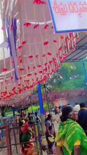 # Temple # Akka devathalu🙏🏻🙏🏻#shorts #love 🙏🏻🥰🥰♥️♥️