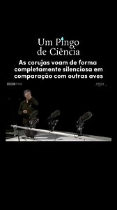 🦉 As corujas são aves voadoras e destacam-se por apresentarem um voo bastante silencioso. O ruído da batida das asas é reduzido devido ao fato de que esses animais apresentam uma plumagem macia. 💡O voo silencioso das corujas permite que elas não sejam percebidas com facilidade por suas presas. Este foi mais @umpingodeciencia por @wilerjrxd. 💧 📽️ @bbctwo 📌 Via @anos_luz7 - 🔸Siga @umpingodeciencia 🐠 Você curte aquarismo? Use nosso código PINGO5 para ganhar 5% de desconto na compra de qualqu