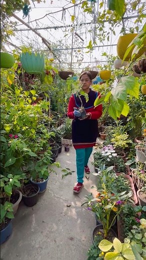 Why is it necessary to plant two plants in the same container?😊