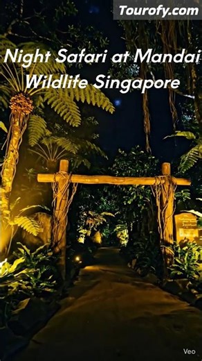 Night Safari at Mandai Wildlife Reserve Singapore