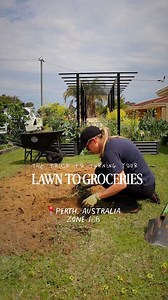 How to pick your own fruit ALL YEAR ROUND 🍊🌳🍑🍇 Even in a small suburban garden! Most people think you need a big block to harvest fruit every month… but Perth’s warm climate is perfect for stretching the season. With the right mix of plants, you can pick something almost year-round. 🌳 WINTER: Think citrus for winter. Having different varieties can help stretch the season out. Lemon, Lime, Mandarins, Oranges, Grapefruit, Lemonade, Pomelo, Kumquat. 🌳 SPRING: This can be a lean time as citrus