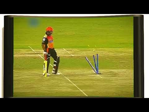 Funniest Run Out In Cricket #cricket #shorts 