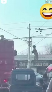 37K views · 99 reactions | Trying to escape and the horns refused. At least there was a bit of swing fun | Sandy B | Facebook