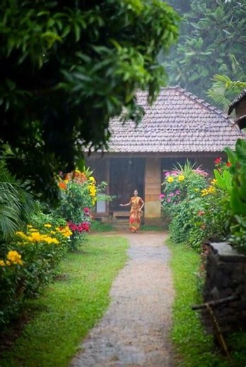 Magical Rain in a Rural Village || Lovely Nature Zone || #naturevideo, #beautifulnature