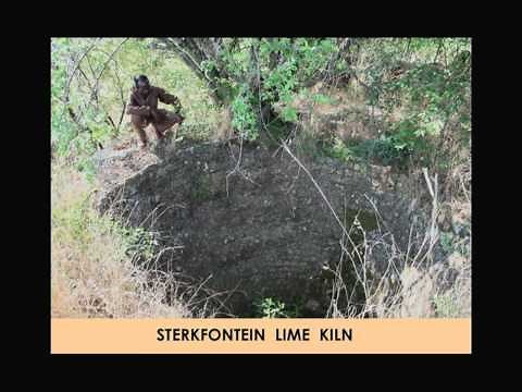 CARTA: Early Hominids: Hominid Skulls; The Discovery of Little Foot