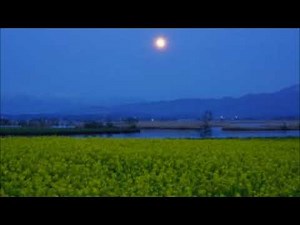 朧月夜（おぼろづきよ） 大正３年 尋常小学唱歌