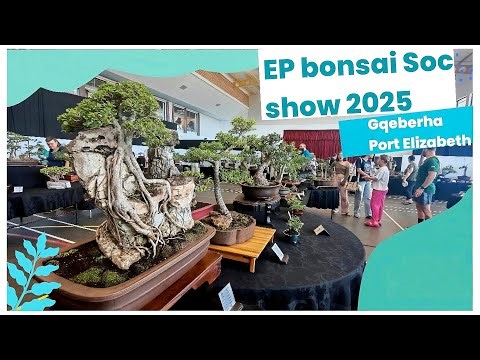 EPBS bonsai show 2025.