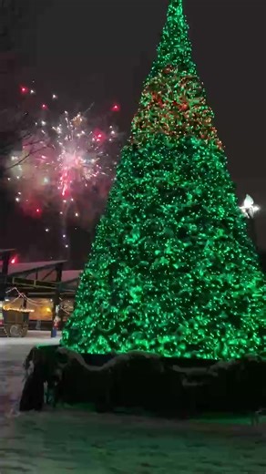 Discover Downtown Johnstown Partnership on Reels