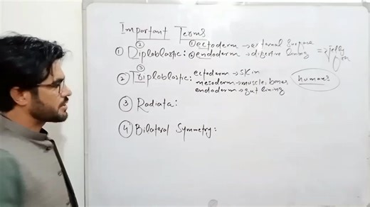 یہ SST Biochemistryکےلئے یاد کرلیں۔ Exploring Animal Body Plans: Diploblastic vs Triploblastic & Radiata vs Bilateral Symmetry" In this educational video, we'll dive into the fascinating world of animal body structures! Learn about: -Diploblastic Animals: Simple body plans with two germ layers (ectoderm & endoderm). Examples like jellyfish! Triploblastic Animals: Complex bodies with three germ layers (ectoderm, mesoderm, endoderm). Like humans and insects! Radiata: Animals with radial symmetry (