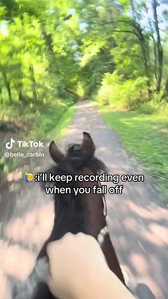 #fyp #viralvideo #horsesoftiktok