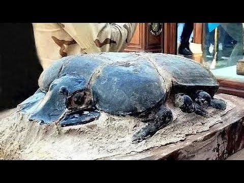 25 Most Amazing Archaeological Finds