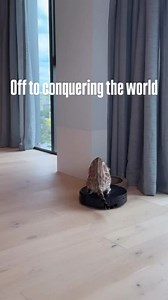 When your cat takes ‘cleaning up after themselves’ to the next level. 🐾✨ 📸: @seaghannn | iRobot