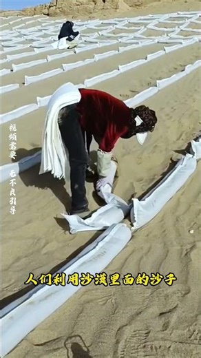 Sandbag Desertification Control #EncyclopediaCode #SciencePopularization